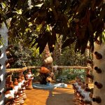 Gallery Thumbnail 15