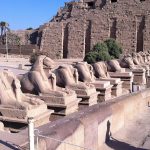 Gallery Thumbnail 14