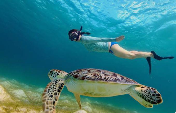 Abu Dabbab Beach Tour from Port Ghalib