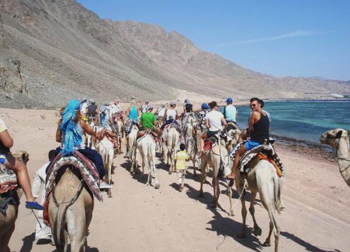 Dahab Desert Safari & Bedouin Night Tour