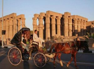 Horse Riding in Luxor