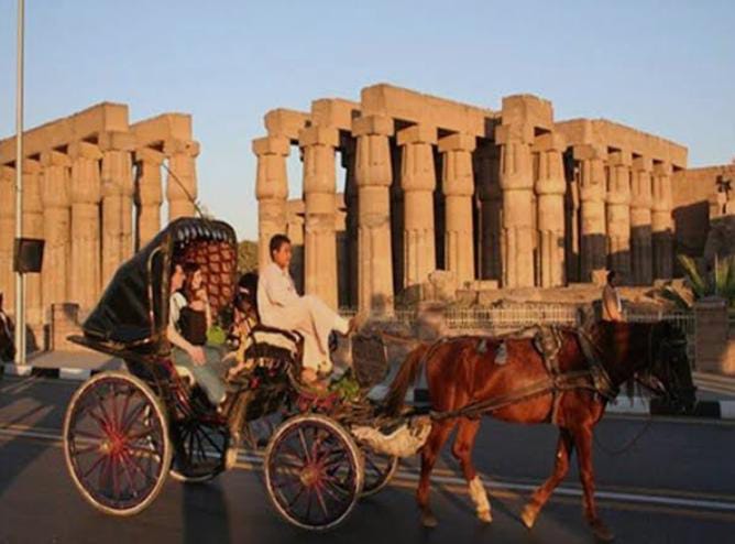 Horse Riding in Luxor