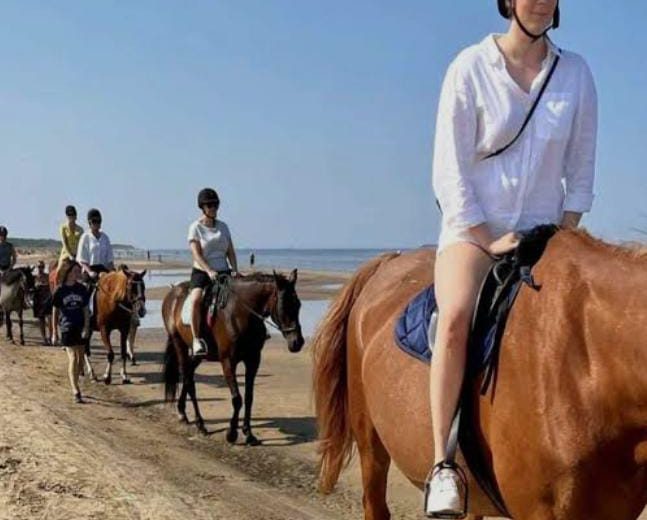 Marsa Alam Horse & Camel Riding Tour for 2 hours