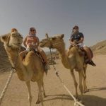 Gallery Thumbnail 12