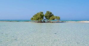 Sharm El Luli & Wadi El Qulaan Tour from Port Ghalib by Modern A/C Vehicle