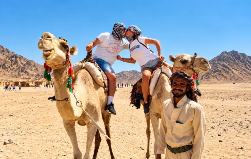 Marsa Alam Horse & Camel Riding Tour for 2 hours