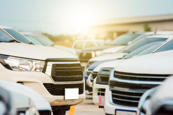 Transfer Luxor Airport to Hotel